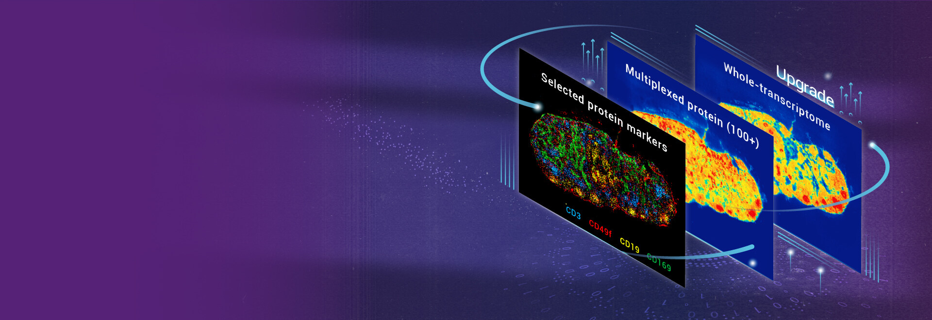 Transcriptomics mIF Solution